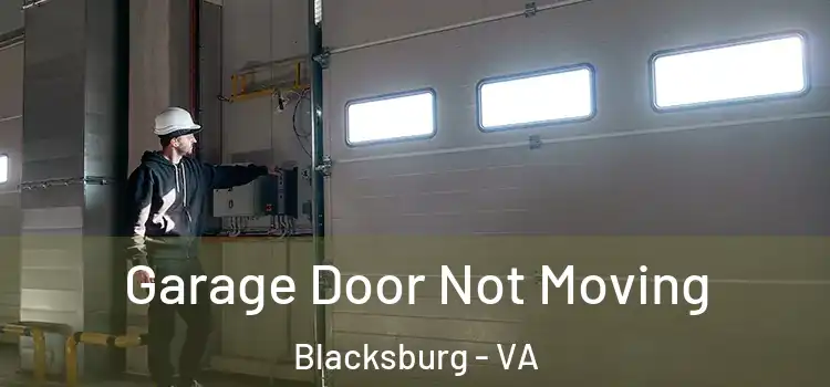  Garage Door Not Moving Blacksburg - VA