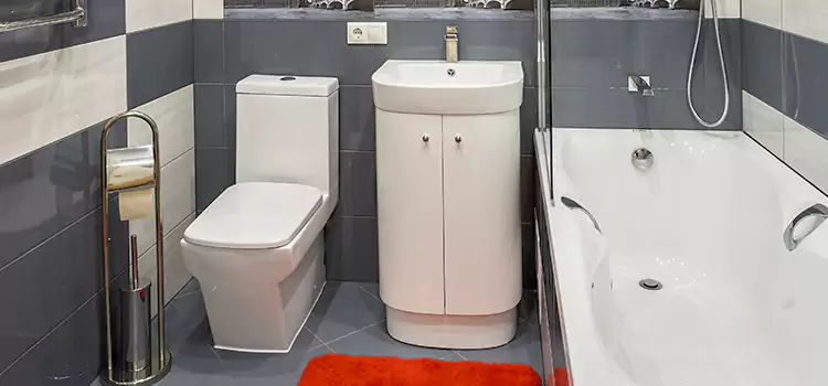 Hansgrohe Shaving Mirror Blacksburg